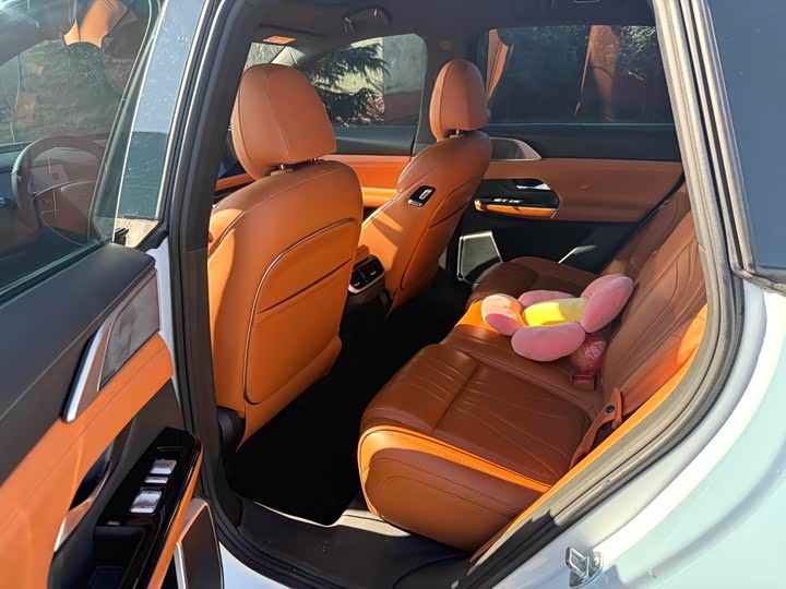 Фото 3 - XPeng G9