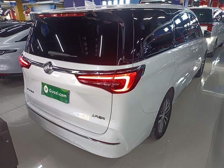 Фото 6 - Buick GL8 ES