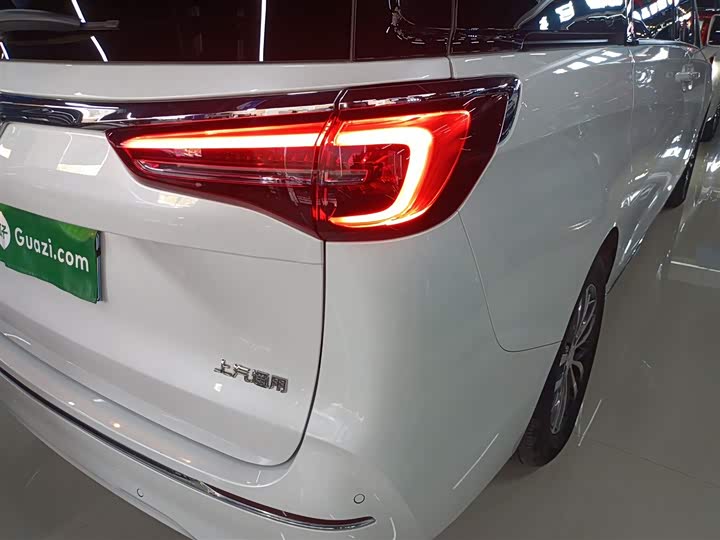 Фото 7 - Buick GL8 ES