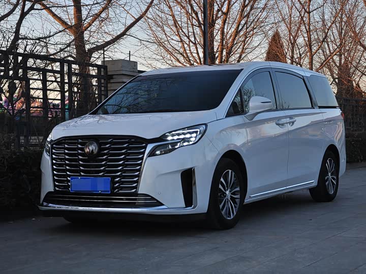 Фото 1 - Buick GL8 ES