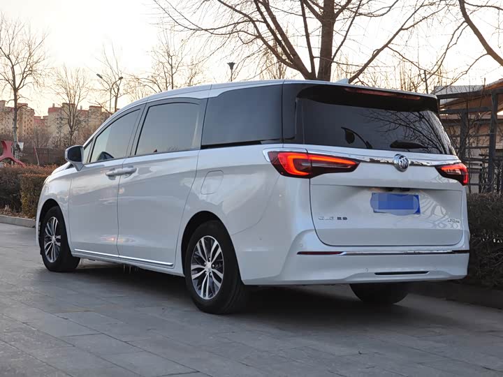 Фото 3 - Buick GL8 ES