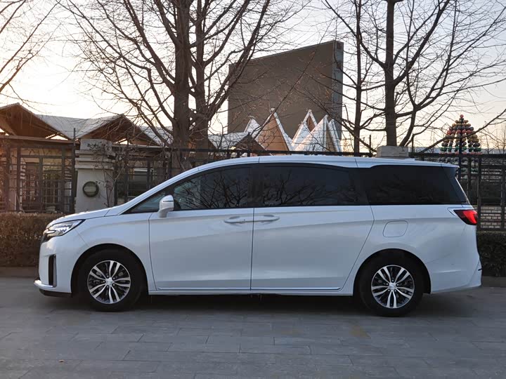 Фото 5 - Buick GL8 ES