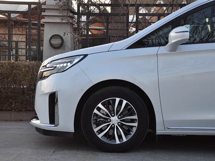 Фото 6 - Buick GL8 ES