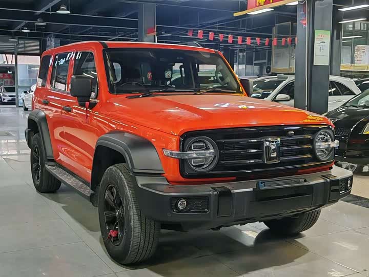 Фото 3 - Tank 300