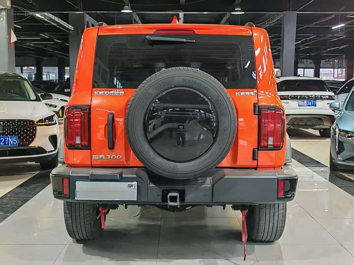 Фото 5 - Tank 300