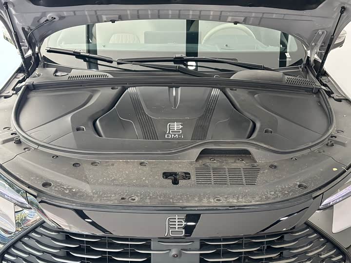 Фото 4 - BYD Tang Hybrid/EV