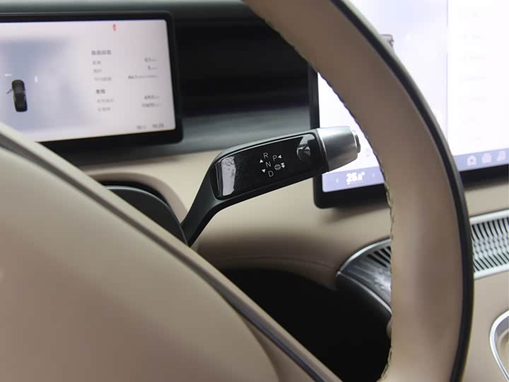 Фото 8 - XPeng X9