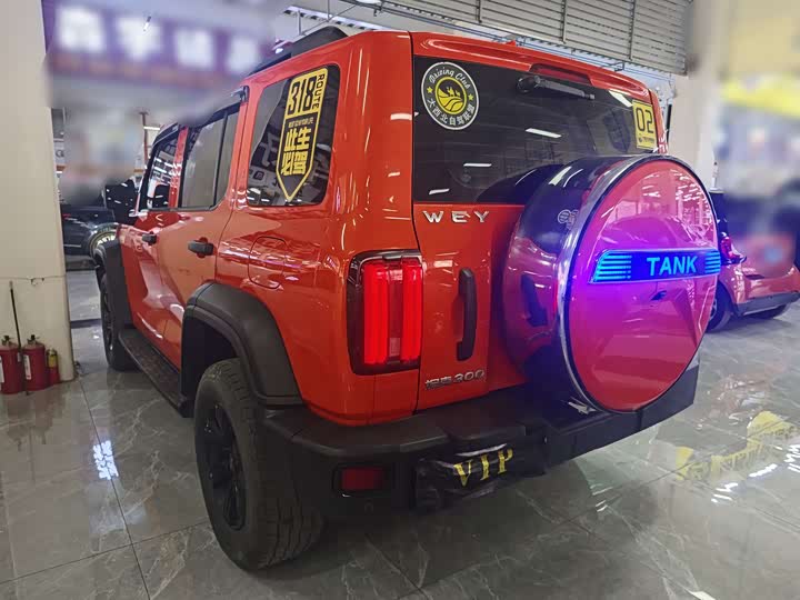 Фото 5 - Tank 300