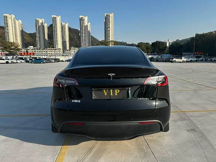 Фото 8 - Tesla Model Y