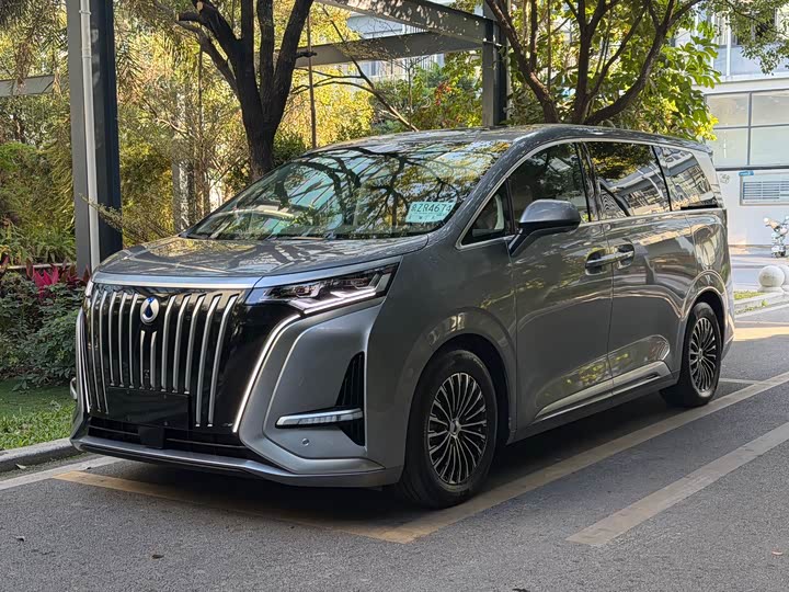 Фото 1 - Denza D9