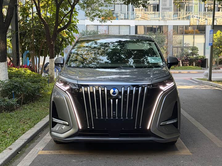 Фото 2 - Denza D9