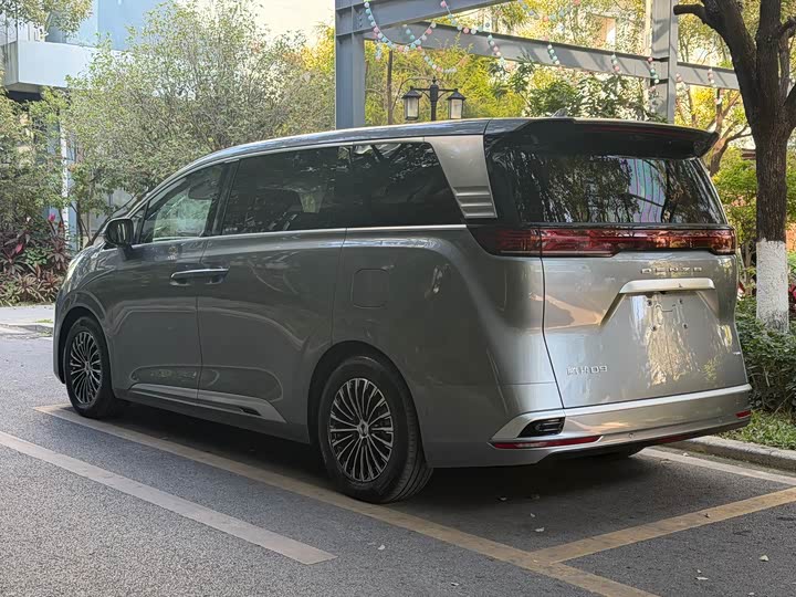 Фото 3 - Denza D9