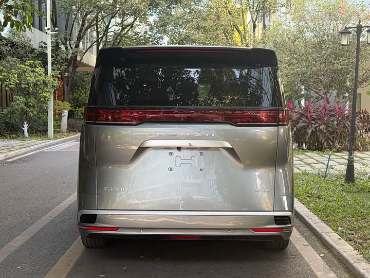 Фото 4 - Denza D9