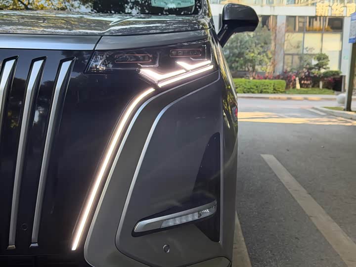 Фото 6 - Denza D9