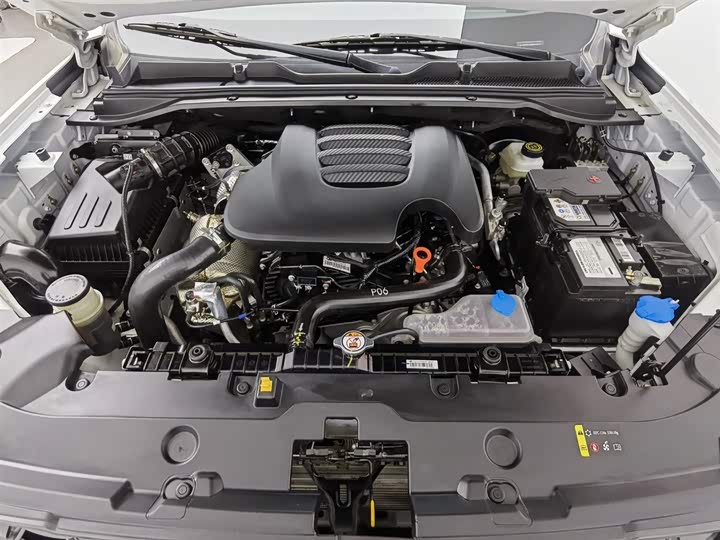 Фото 6 - Great Wall King Kong Poer