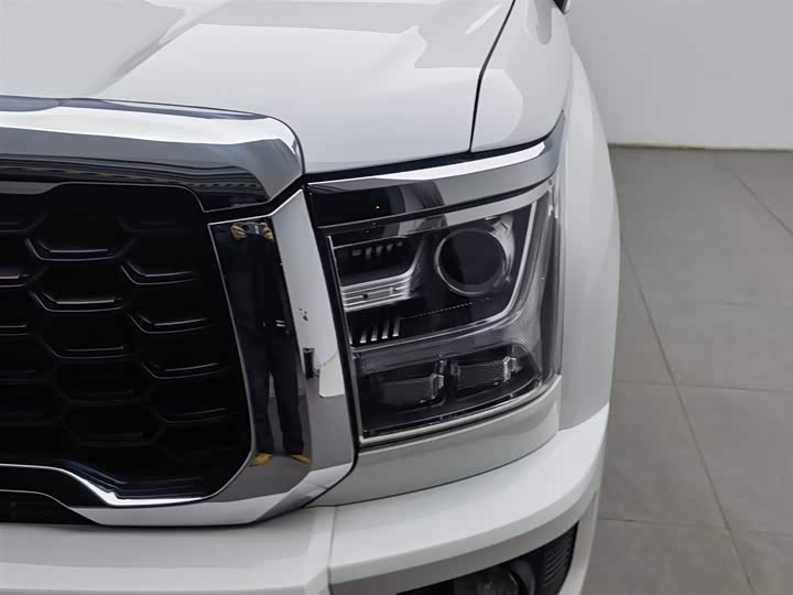 Фото 7 - Great Wall King Kong Poer