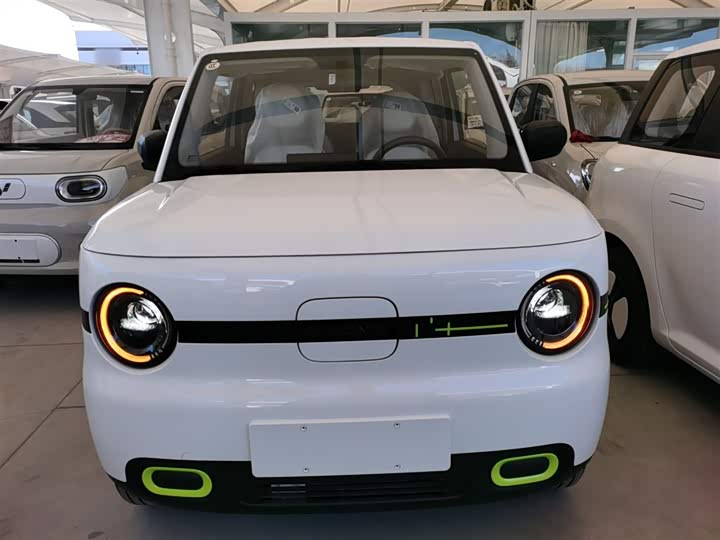 Фото 3 - Geely Galaxy Panda Mini