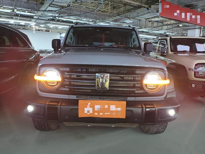 Фото 3 - Tank 300