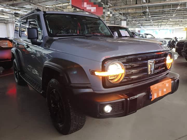 Фото 4 - Tank 300