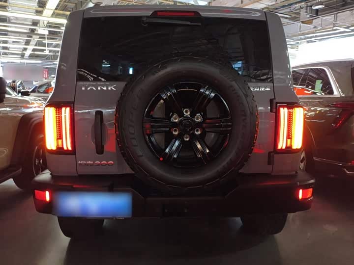 Фото 6 - Tank 300