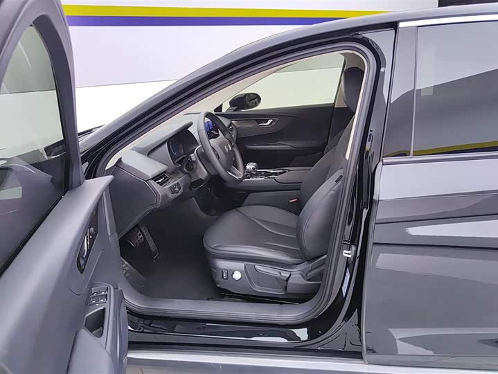 Фото 9 - Hongqi E-QM5