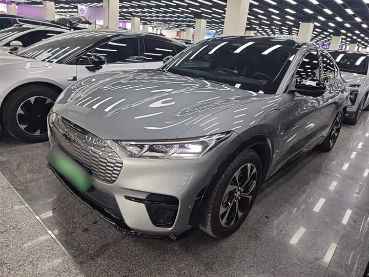 Фото 1 - Ford Mustang Mach-E