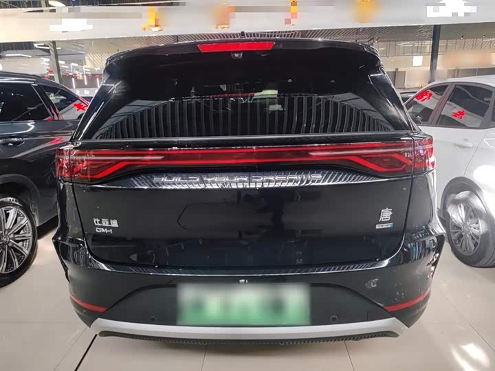 Фото 6 - BYD Tang Hybrid/EV