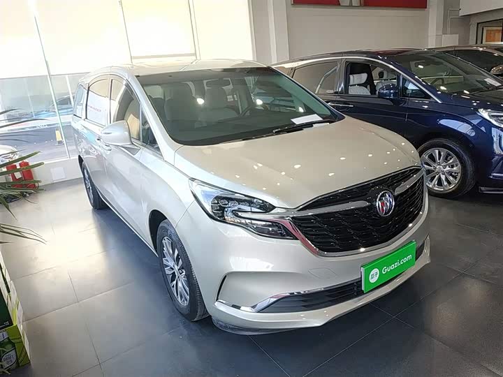 Фото 4 - Buick GL8 ES