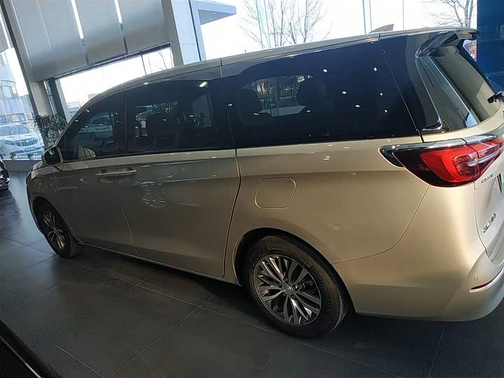 Фото 5 - Buick GL8 ES