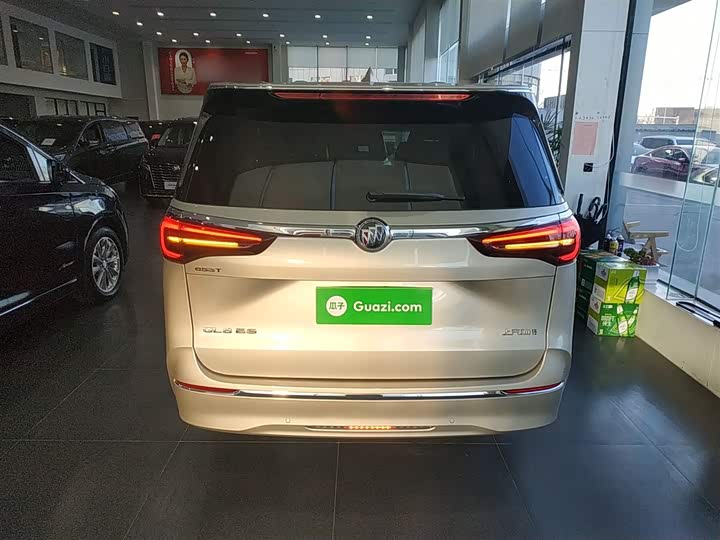 Фото 6 - Buick GL8 ES