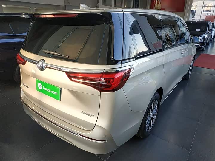 Фото 7 - Buick GL8 ES