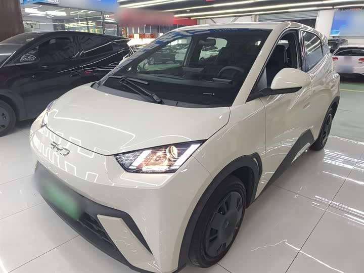 Фото 1 - BYD Seagull