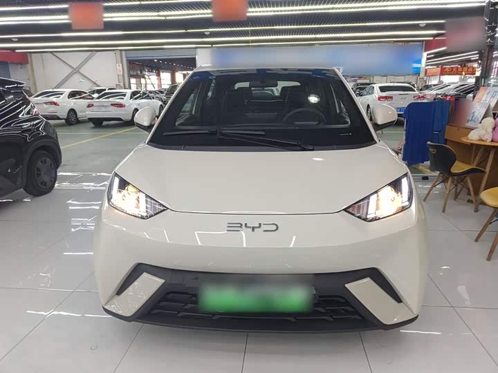 Фото 3 - BYD Seagull