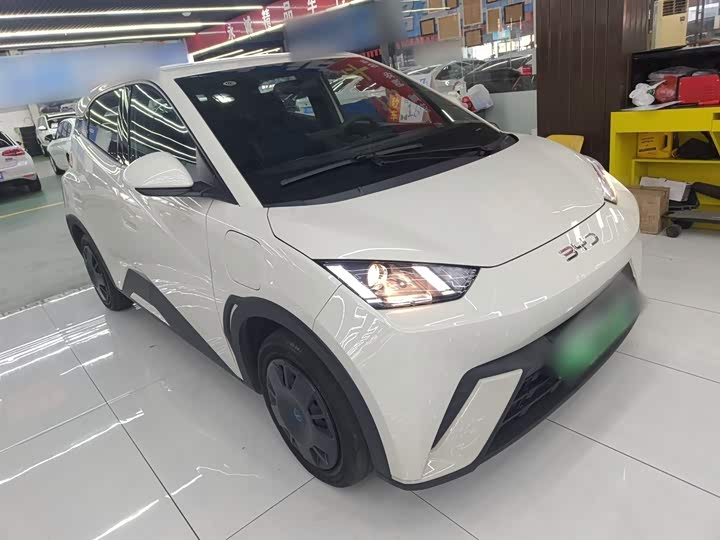 Фото 4 - BYD Seagull