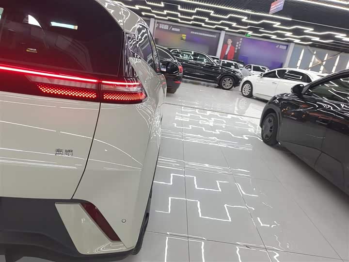 Фото 8 - BYD Seagull