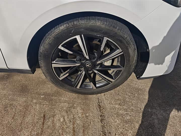 Фото 6 - Changan Eado Plus