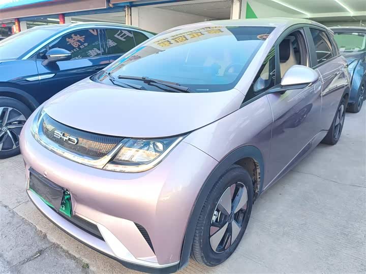 Фото 2 - BYD Dolphin