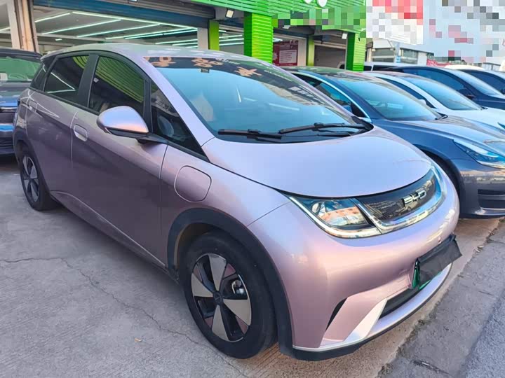 Фото 4 - BYD Dolphin