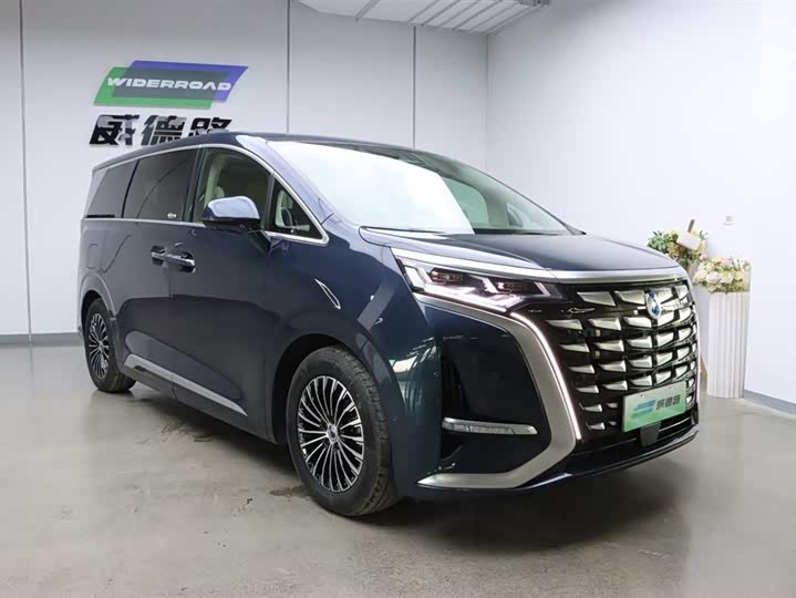 Фото 3 - Denza D9