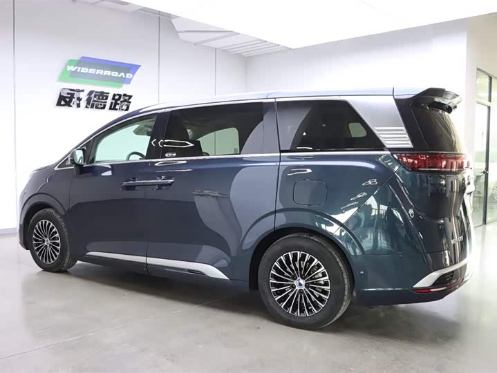 Фото 6 - Denza D9