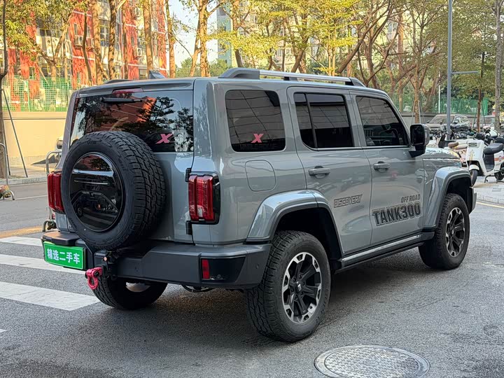 Фото 8 - Tank 300 Hybrid