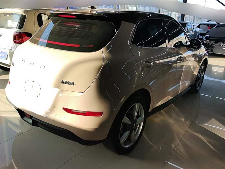 Фото 3 - Ora Good Cat (03)