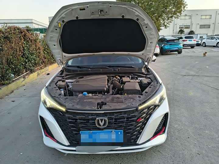 Фото 7 - Changan Eado Plus