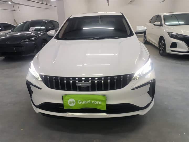 Фото 3 - Geely Binrui