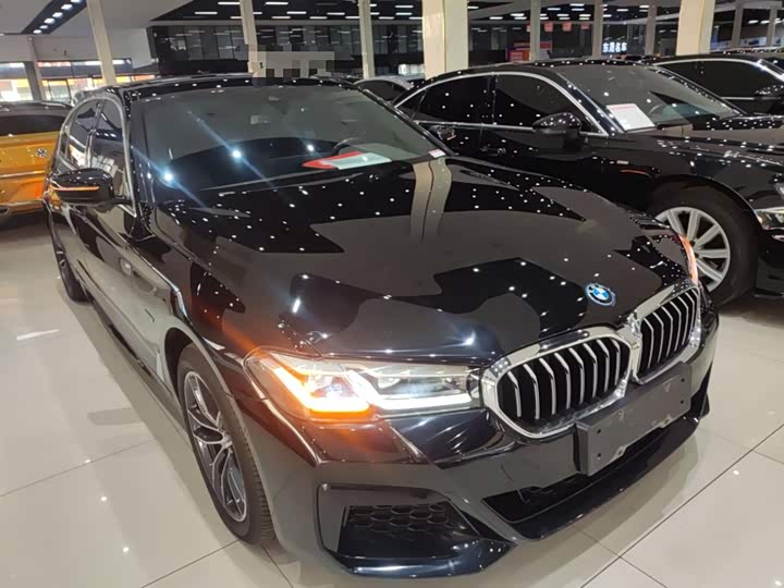 Фото 4 - BMW 5 Series Hybrid