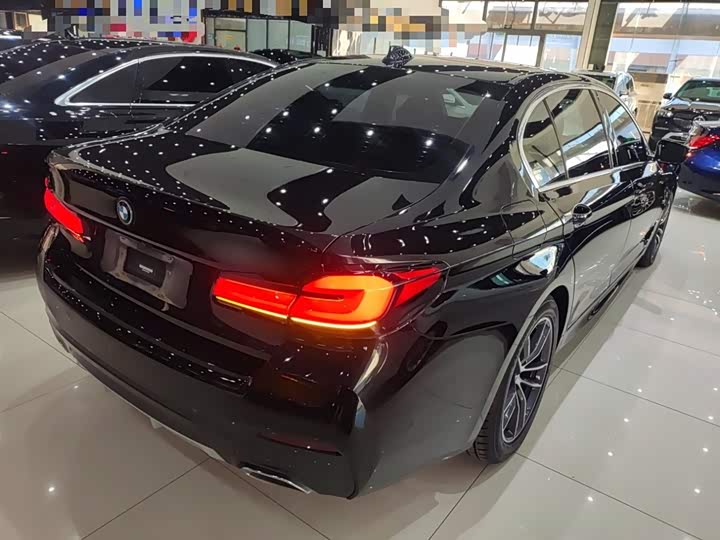 Фото 7 - BMW 5 Series Hybrid