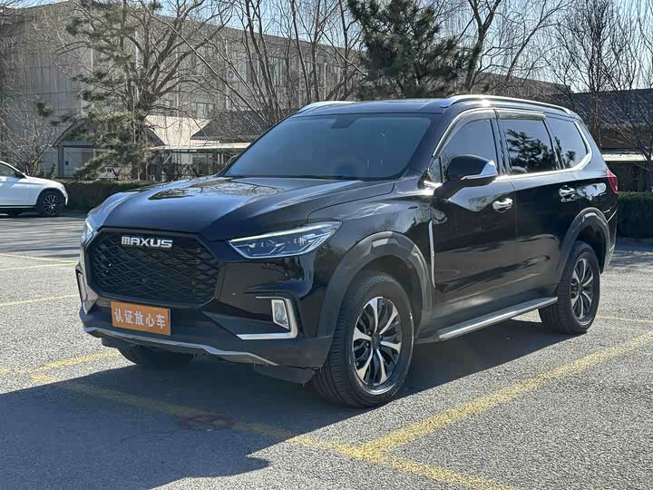 Фото 1 - Maxus D90 Pro