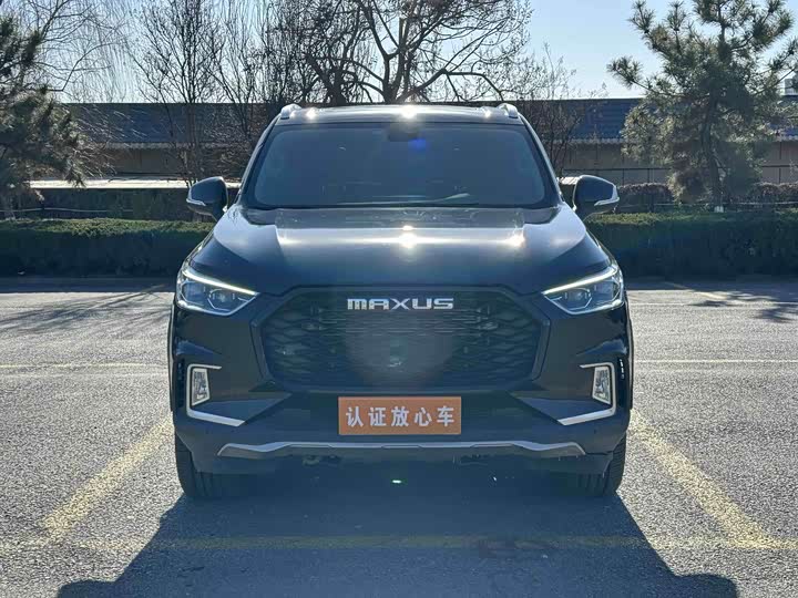 Фото 2 - Maxus D90 Pro