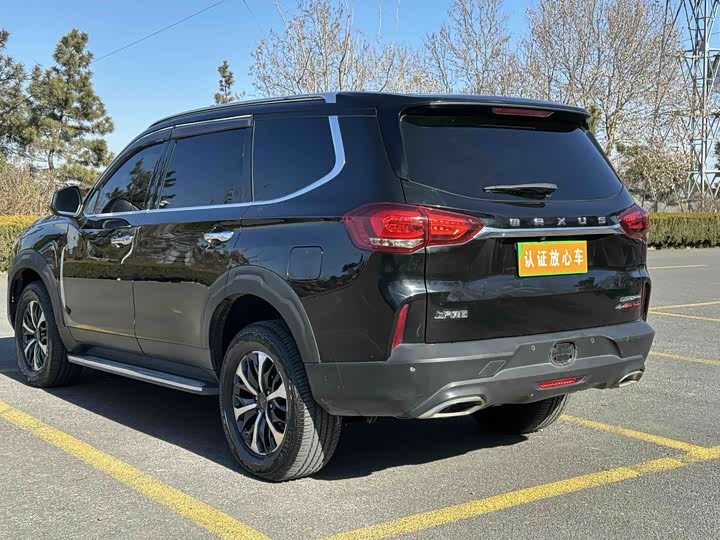 Фото 4 - Maxus D90 Pro