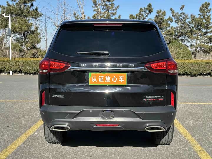 Фото 5 - Maxus D90 Pro